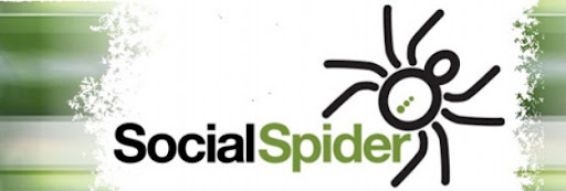 Waltham Forest Hub (Social Spider CIC)