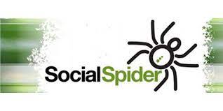 Social Spider Community News 
